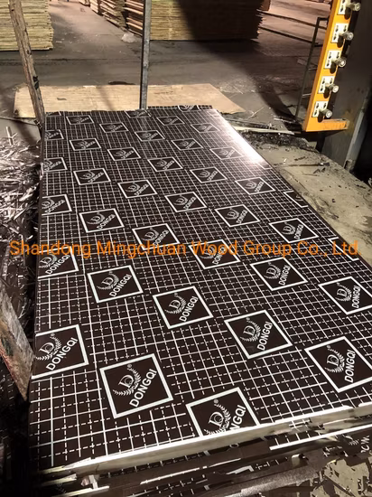 Building Materials 18mm Poplar Birch Core Formwork Construction Black Brown Film Faced Plywood
