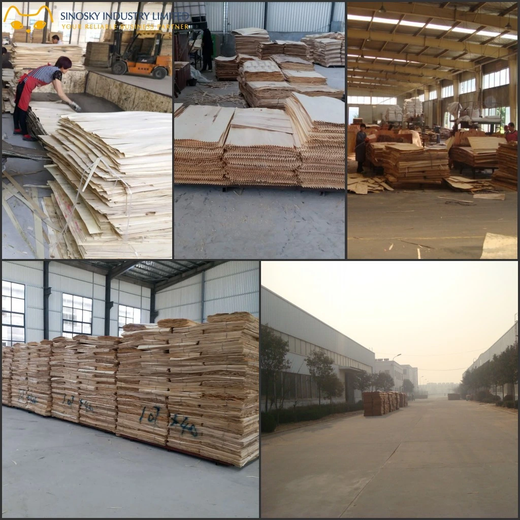 Playwood Price 18mm HPL Laminated Plywood Melamine Plywood