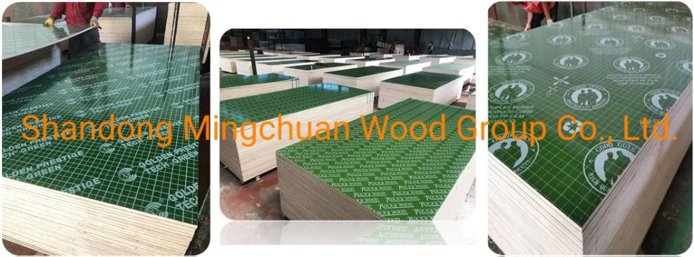 18mm Hardwood PP Plywood Green PP Plastic Film Faced Plywood