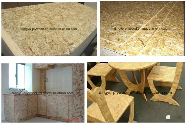 1220X2440X18mm OSB Board for Furniture