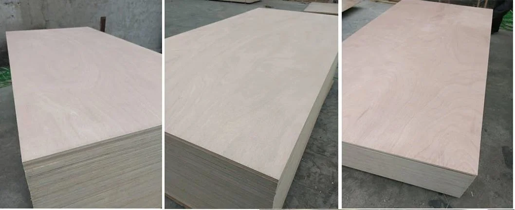 16mm White HPL Plywood/ Commercial Plywood for Israel Market