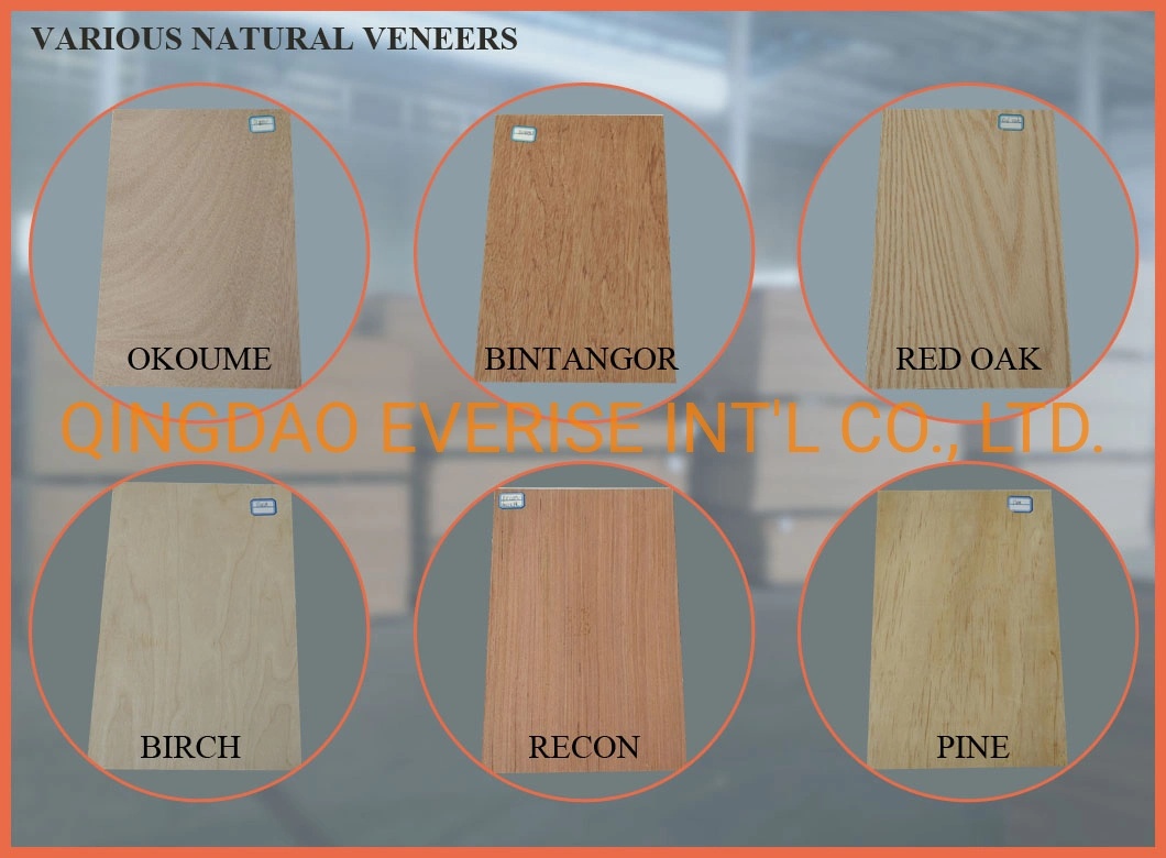 China Factory Wholesale Plywood Prices Timber Carbp2/FSC/CE 16/18mm E1 Glue/Laminated Furniture Commercial Plywood with Poplar Core/Okoume/Pine/Birch Face/Back