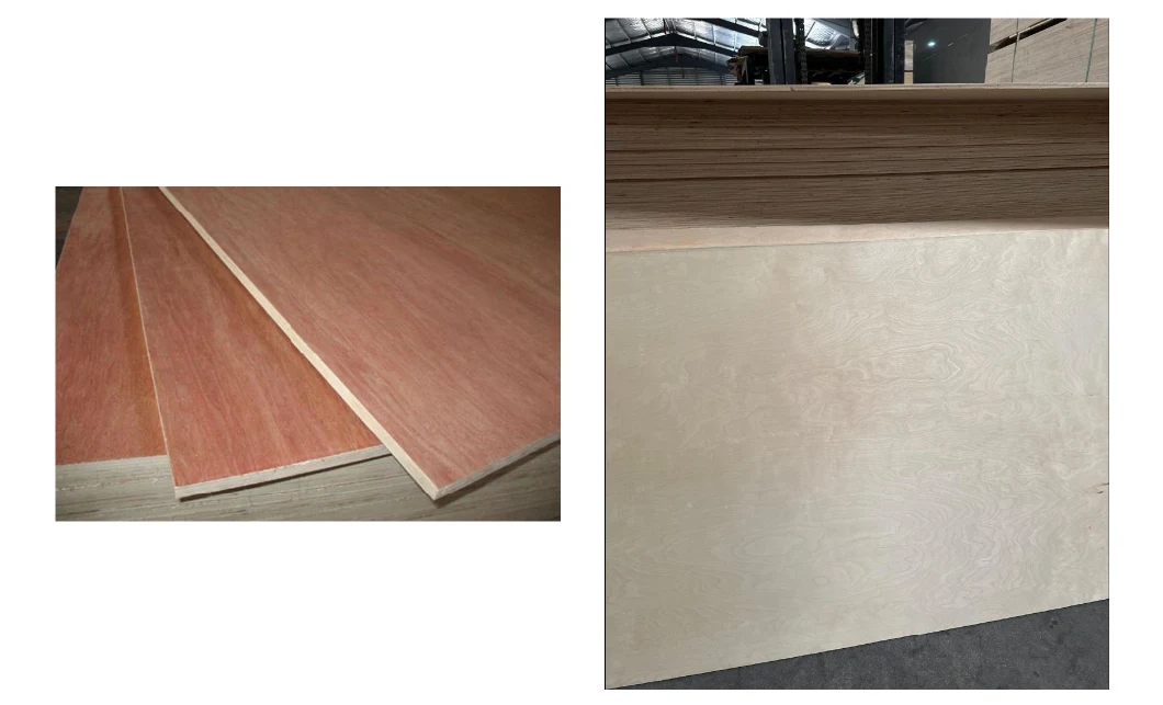 Melamine Plywood Melamine Paper White Faced Popar/Combi/Hardwood Core Commercial Plywood